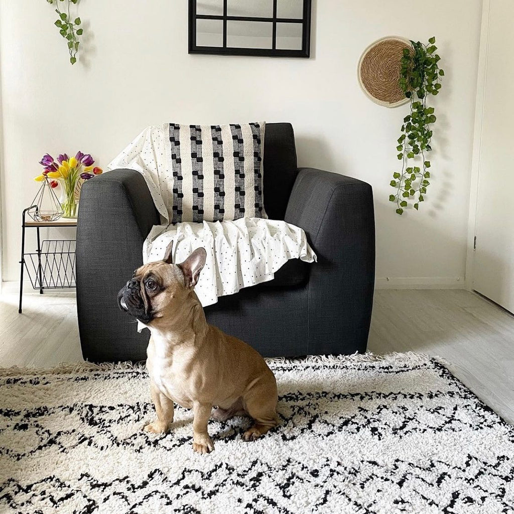 What Rug Goes With a Black Couch?