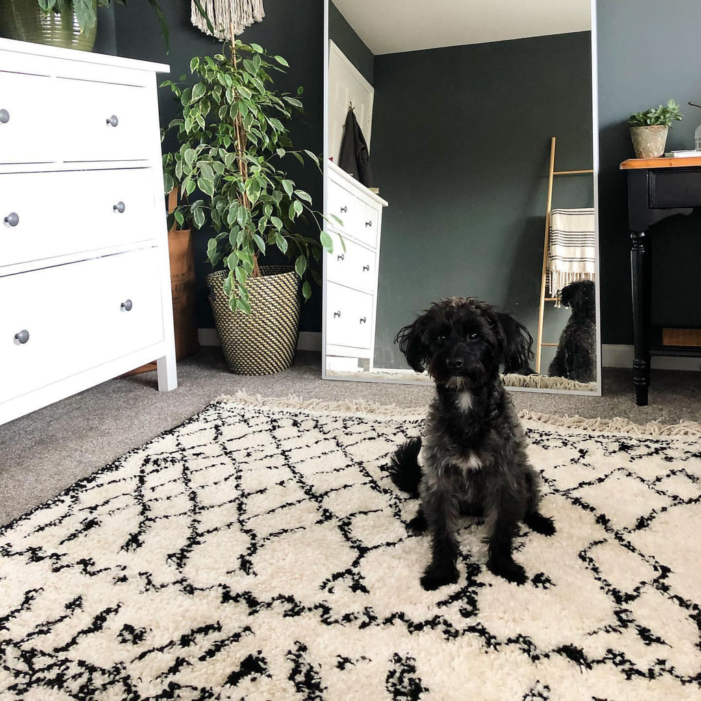 Embrace the Hybrid Charm of Scandi Boho Rugs at Rug Love