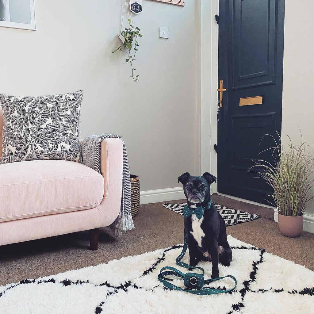 Does Scotchgard Really Work on Rugs? Exploring the Benefits of Fabric Protector