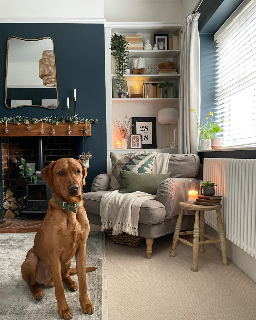 How Can I Clean My Rug at Home? Effective DIY Cleaning Tips