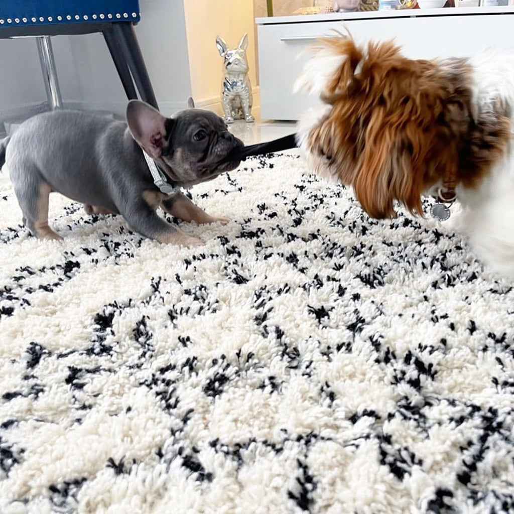 Discover Affordability and Elegance at Rug Love