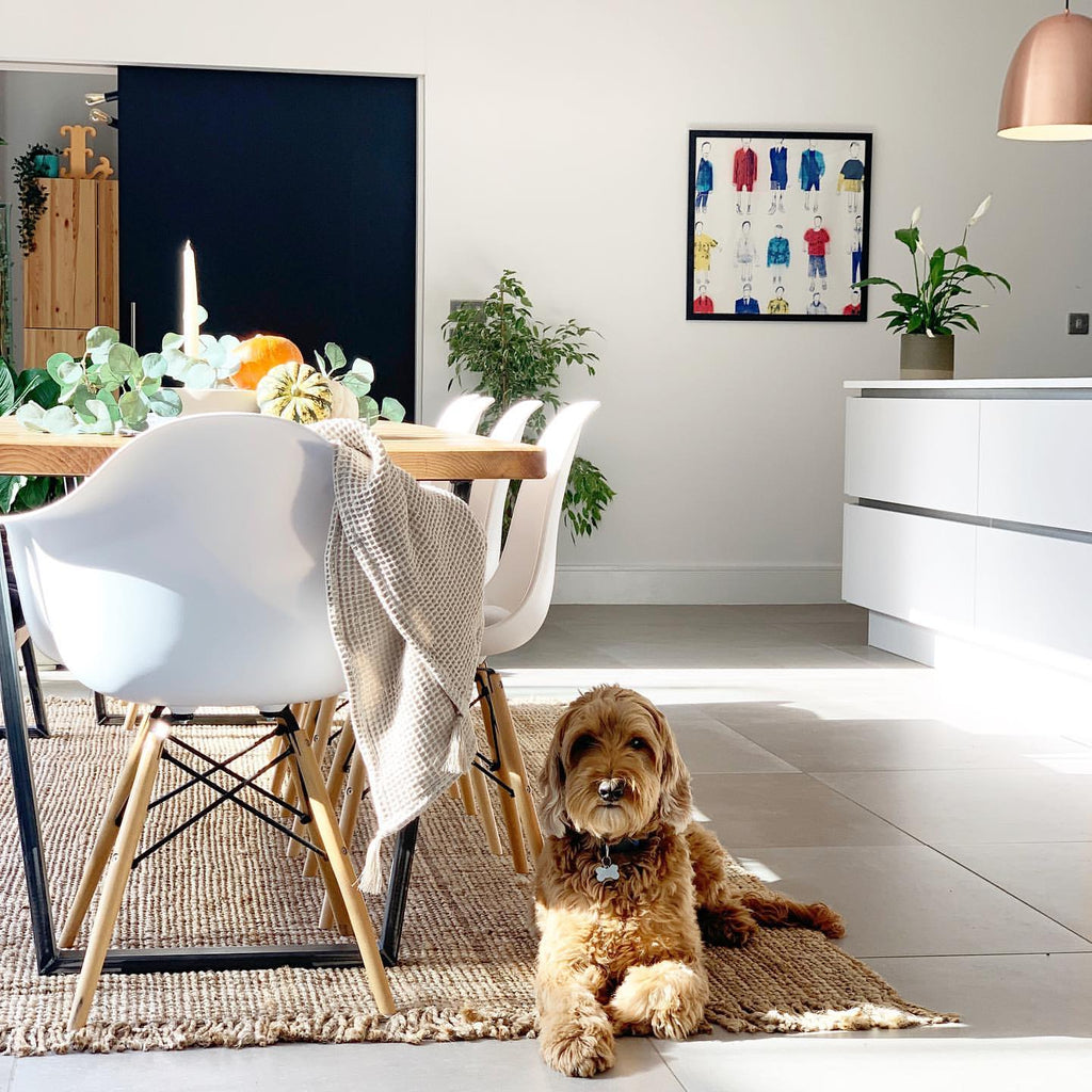 The Ultimate Guide to Kitchen Rugs