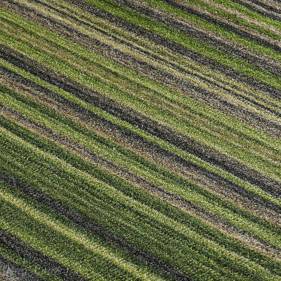 The Woolly Tale of Shedding Rugs: A Guide to Keeping Your Home Fuzz-Free