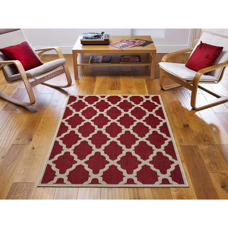 The Rich History and Meaning of Trellis Design Rugs