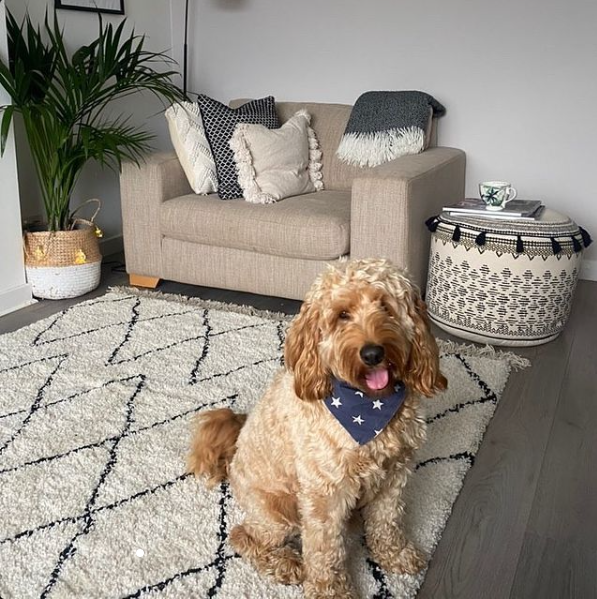 Get in Shape: How Geometric Rugs Can Shape Up Your Style Game