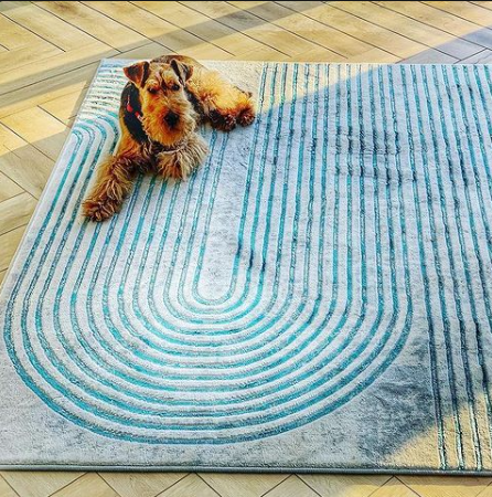Pet-Proof Your Rugs: How to Keep Your Home Stylish and Your Furry Friends Happy