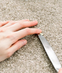 Gum be gone: How to banish pesky chewing gum from your rug and reclaim your floors!