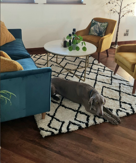 Un-Denting Your Style: Wacky Ways to Remove Furniture Indentations from Your Rug