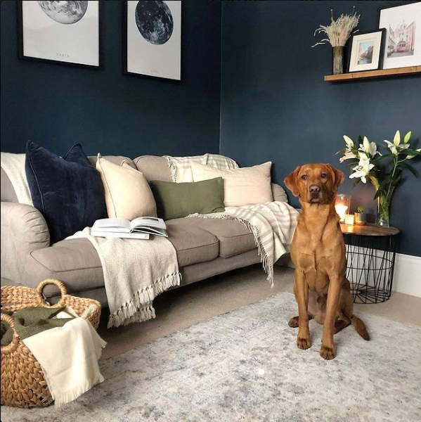 5 Tips for Styling a Large Grey Rug to Elevate Your Home Decor