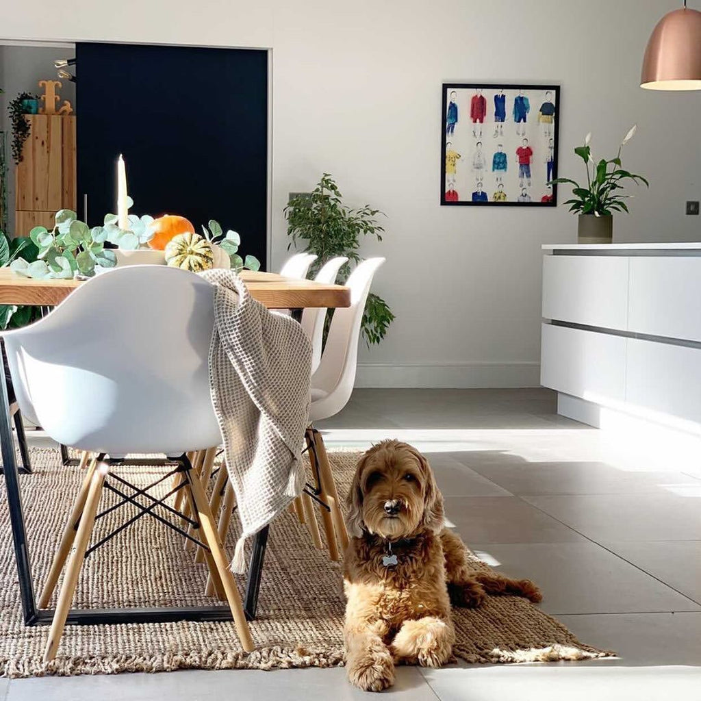 Discover the Natural Beauty of Jute Rugs at Rug Love