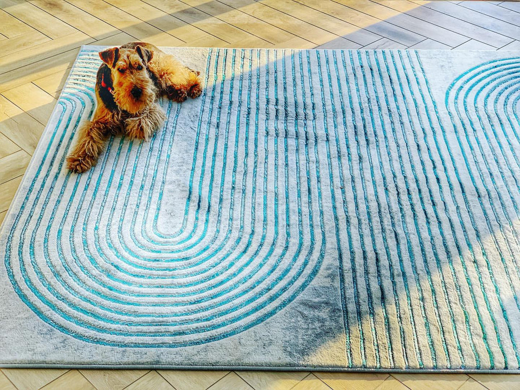 Discover Unbeatable Deals at Rug Love's Rug Outlet