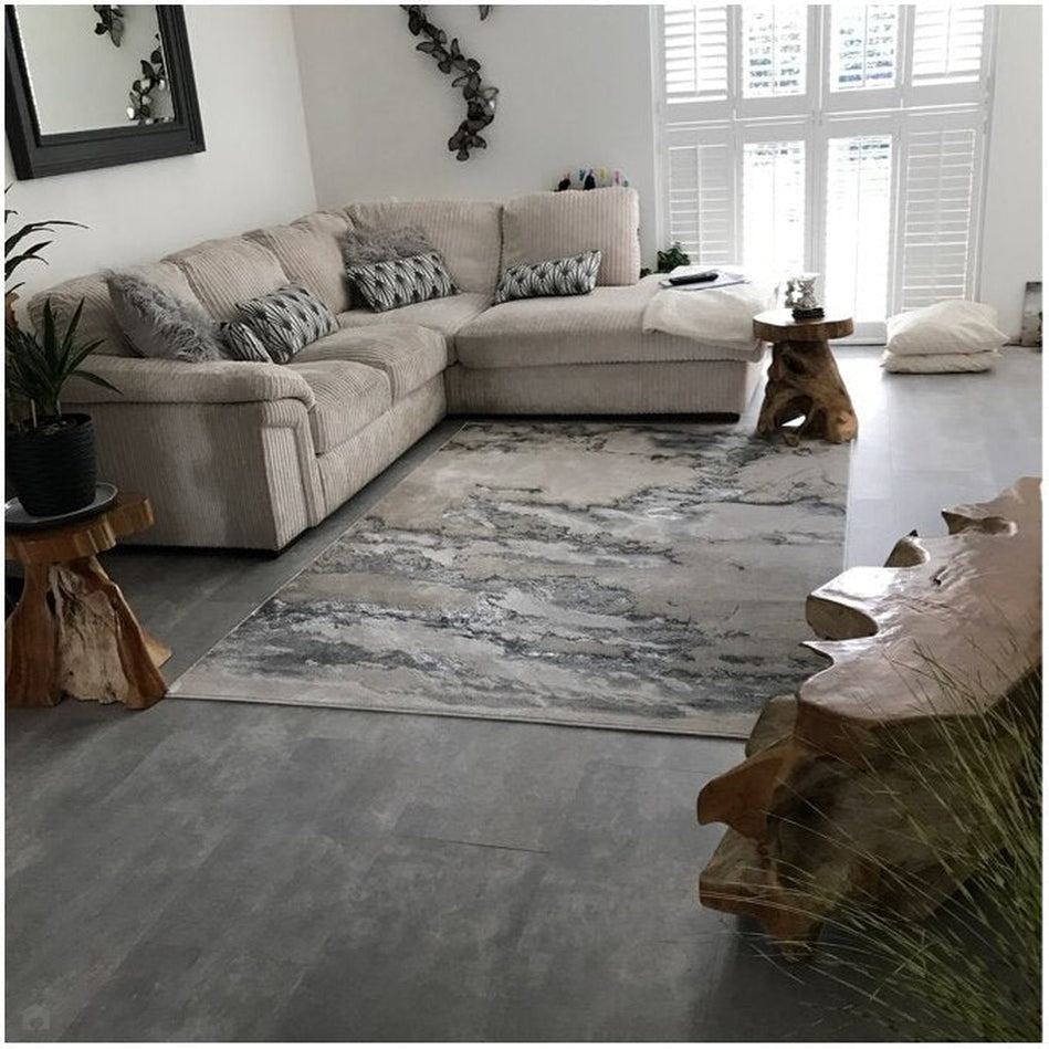 Contemporary V's Modern Rugs