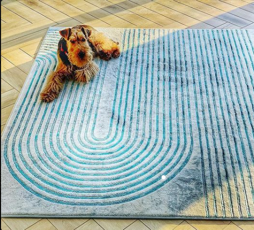 A Step-by-Step Guide to Remove Pet Smells from Your Polypropylene Rug