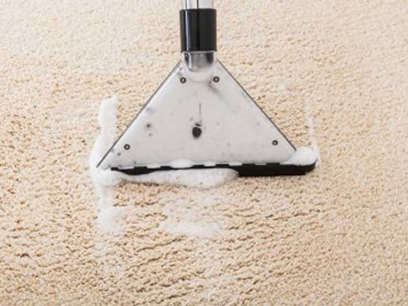 How Do I Get Rid of Damp Smell in Carpet? Effective Solutions for Freshening Up Your Floors