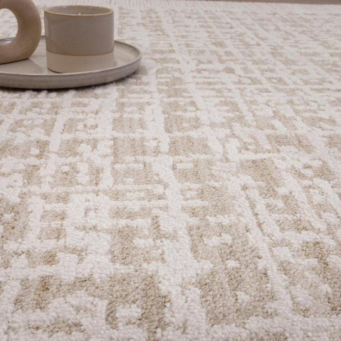 Anders AN10 Modern Abstract Distressed Shimmer Soft Raised Textured Low Profile Short Pile Polyester Beige Rug-Asiatic Carpets-Rug Love - The Most Loved Rug Store