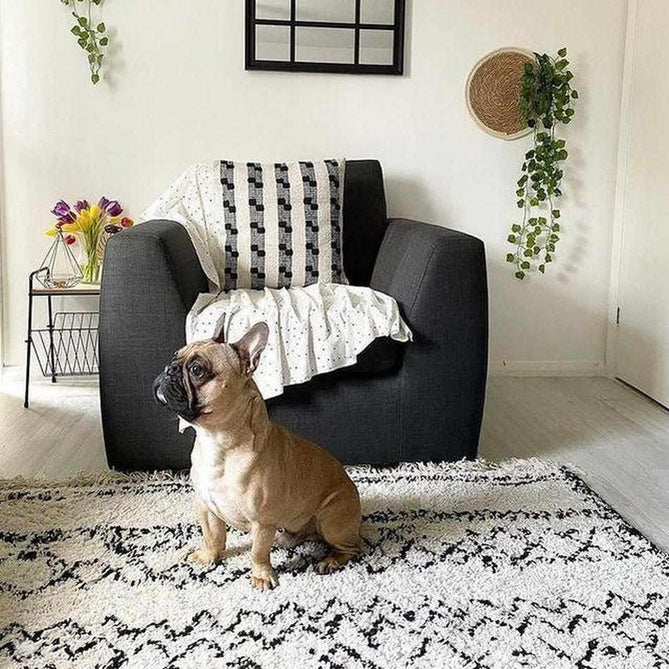 Boho 5402 Modern Moroccan Berber Soft Plush Shaggy White/Black Rug-Think Rugs-Rug Love - The Most Loved Rug Store