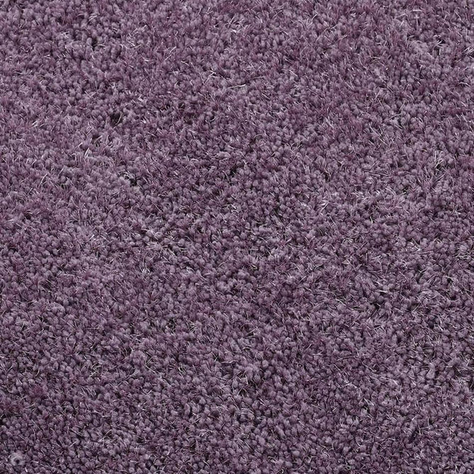 Chicago Plush Soft Plain Polyester Shaggy Lavender Rug-Origins-Rug Love - The Most Loved Rug Store