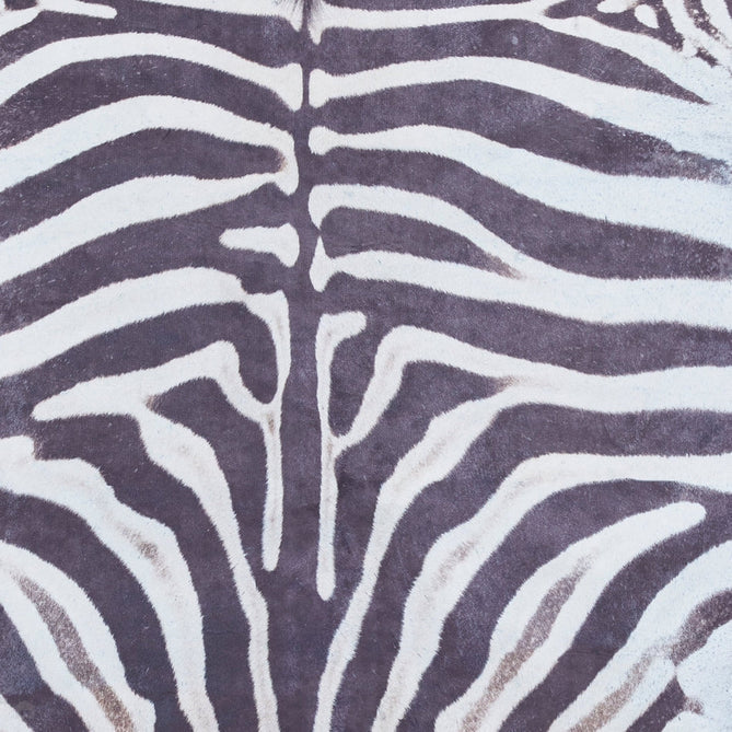 Faux Zebra Print Animal Skin Lightweight Printed Polyester Flatweave Black/White/Grey Rug-Think Rugs-Rug Love - The Most Loved Rug Store