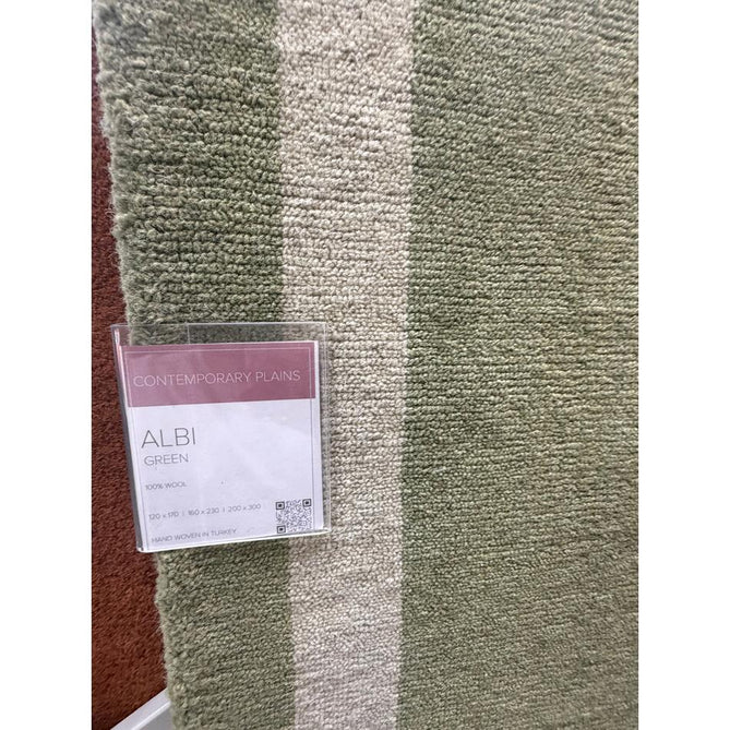 Albi Modern Plain Border Tonal Distressed Hand-Woven Textured Wool Low Profile Tip Sheared Short Pile Green Rug