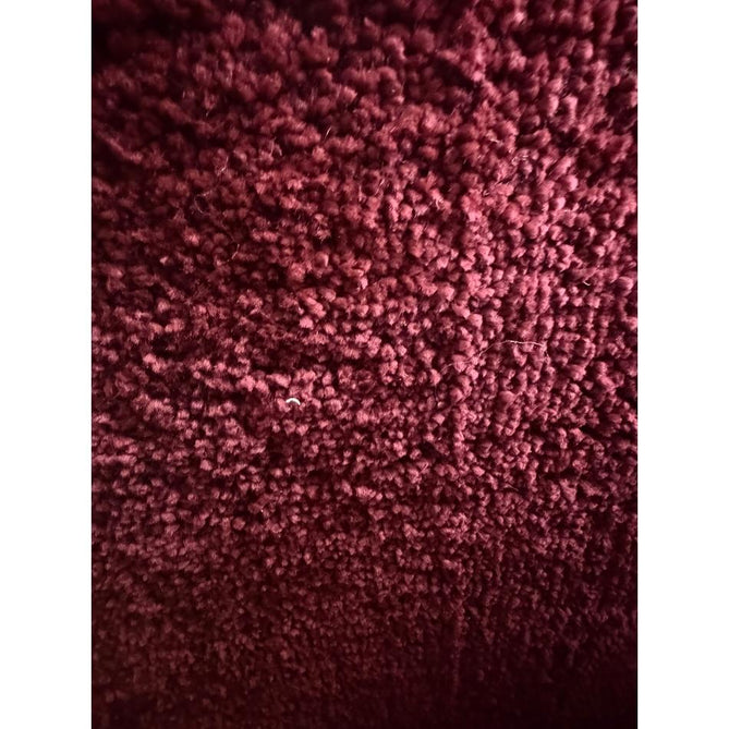 Sierra 9000 Plush Soft High-Density Stain-Resistant Plain Textured Polypropylene Shaggy Ruby Rug