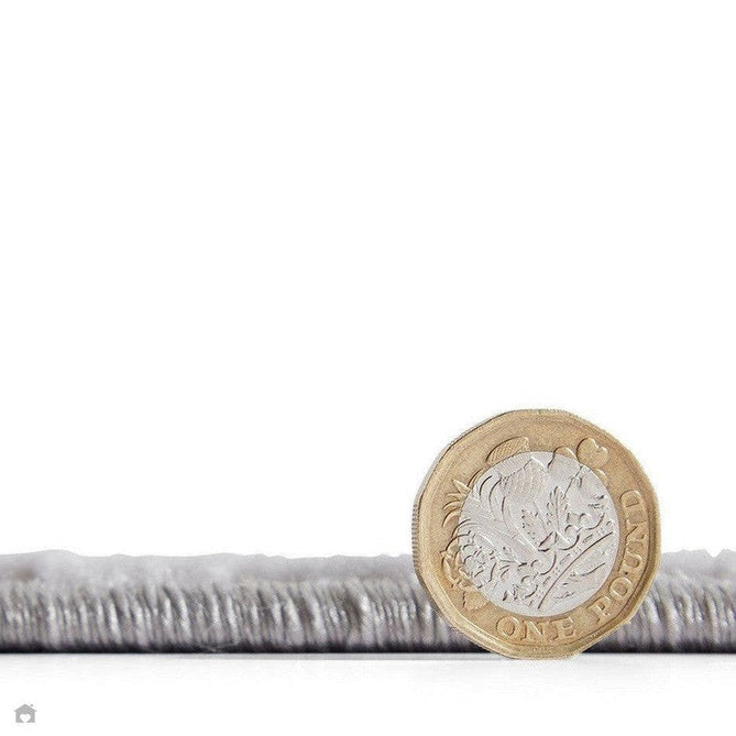 Laurence Llewelyn-Bowen Tropicana Modern Floral Ornate Abstract Border Metallic Shimmer Soft-Touch Smooth Textured Polyester Low Profile Short Pile Pearl Grey/Grey Silver Rug-Think Rugs-Rug Love - The Most Loved Rug Store