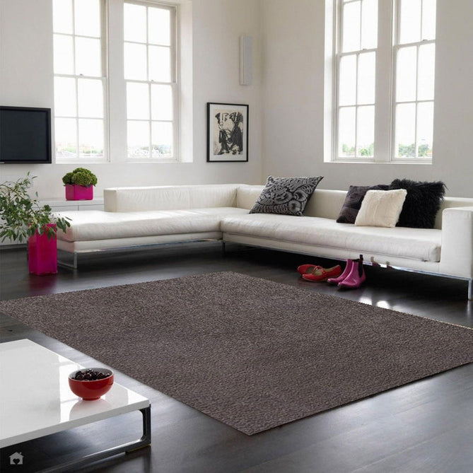 Lulu Plush Super-Soft Densely Woven Plain Silky Polyester Shaggy Smoke Rug-Asiatic Carpets-Rug Love - The Most Loved Rug Store