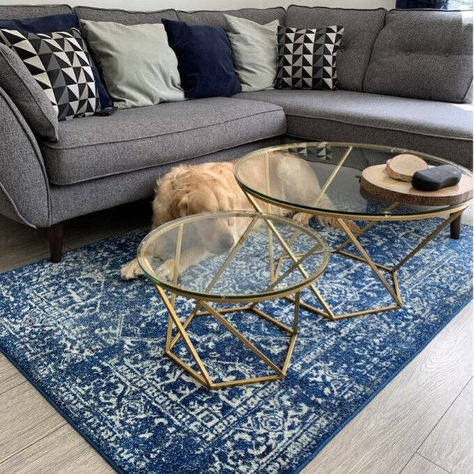 Nova NV11 Antique Traditional Medallion Border Durable Easy-Care Polypropylene Short Pile Navy/Cream/Grey Rug-Asiatic Carpets-Rug Love - The Most Loved Rug Store