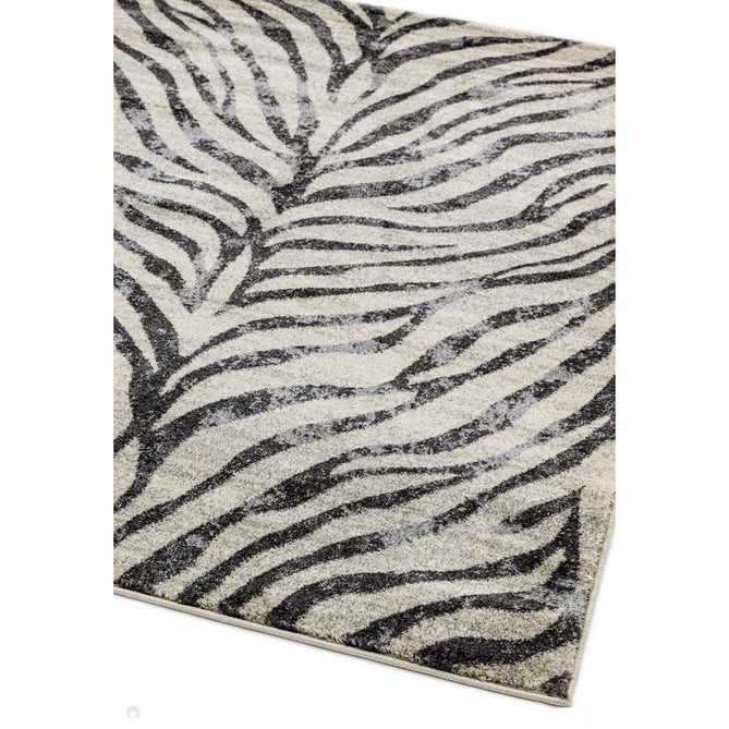 Nova NV27 Zebra Modern Abstract Durable Easy-Care Polypropylene Short Pile Ivory/Grey/Black Rug-Asiatic Carpets-Rug Love - The Most Loved Rug Store