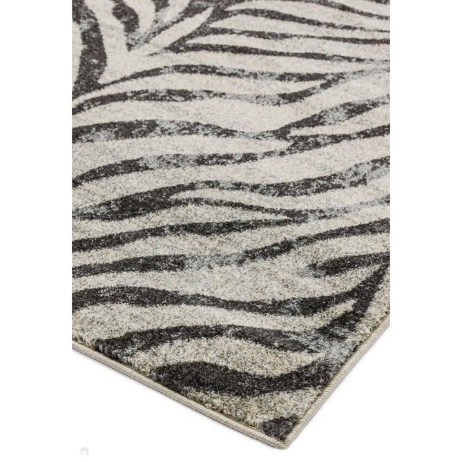 Nova NV27 Zebra Modern Abstract Durable Easy-Care Polypropylene Short Pile Ivory/Grey/Black Rug-Asiatic Carpets-Rug Love - The Most Loved Rug Store