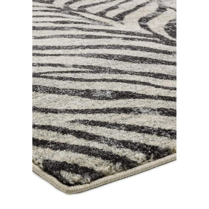 Nova NV27 Zebra Modern Abstract Durable Easy-Care Polypropylene Short Pile Ivory/Grey/Black Rug-Asiatic Carpets-Rug Love - The Most Loved Rug Store