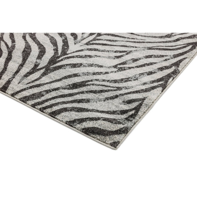 Nova NV27 Zebra Modern Abstract Durable Easy-Care Polypropylene Short Pile Ivory/Grey/Black Rug-Asiatic Carpets-Rug Love - The Most Loved Rug Store
