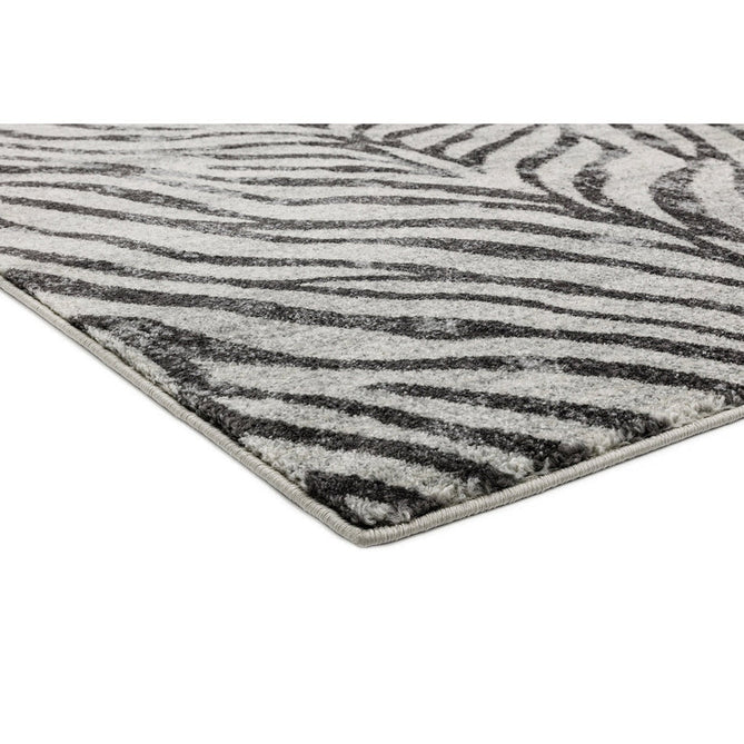 Nova NV27 Zebra Modern Abstract Durable Easy-Care Polypropylene Short Pile Ivory/Grey/Black Rug-Asiatic Carpets-Rug Love - The Most Loved Rug Store