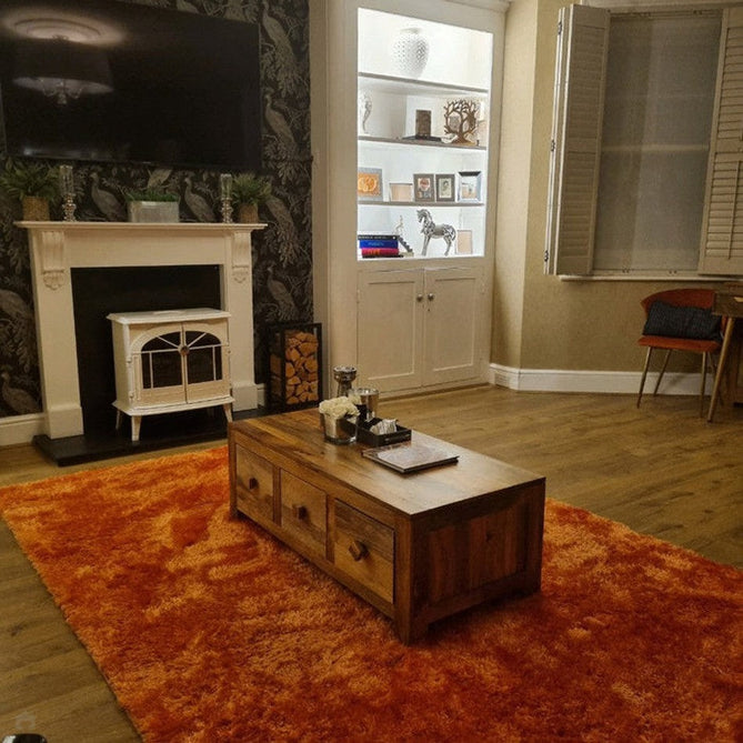Payton Soft Shimmer Silky Polyester Plain Shaggy Orange Rug-Asiatic Carpets-Rug Love - The Most Loved Rug Store
