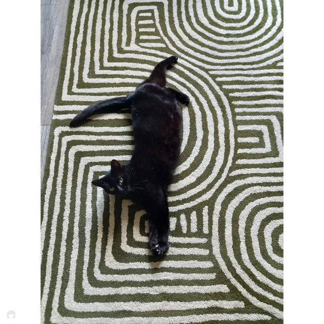 Reef RF30 Curve Modern Geometric Hand-Woven Wool Forest Green/Cream Rug-Asiatic Carpets-Rug Love - The Most Loved Rug Store