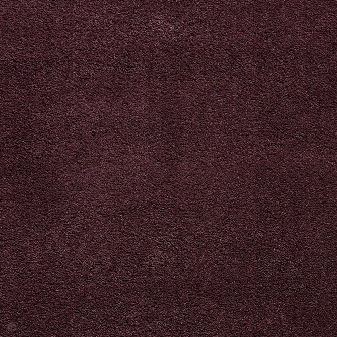 Sierra 9000 Plush Soft High-Density Stain-Resistant Plain Textured Polypropylene Shaggy Aubergine Purple Rug-Think Rugs-Rug Love - The Most Loved Rug Store