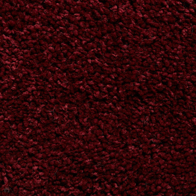 Sierra 9000 Plush Soft High-Density Stain-Resistant Plain Textured Polypropylene Shaggy Ruby Rug-Think Rugs-Rug Love - The Most Loved Rug Store