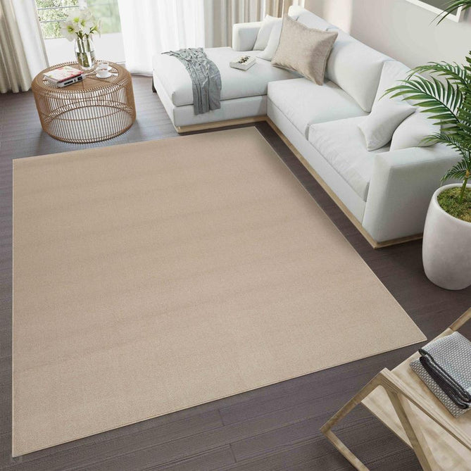 Simple Plain SIM00 Light Beige Flatweave Rug-Desire Rugs-Rug Love - The Most Loved Rug Store