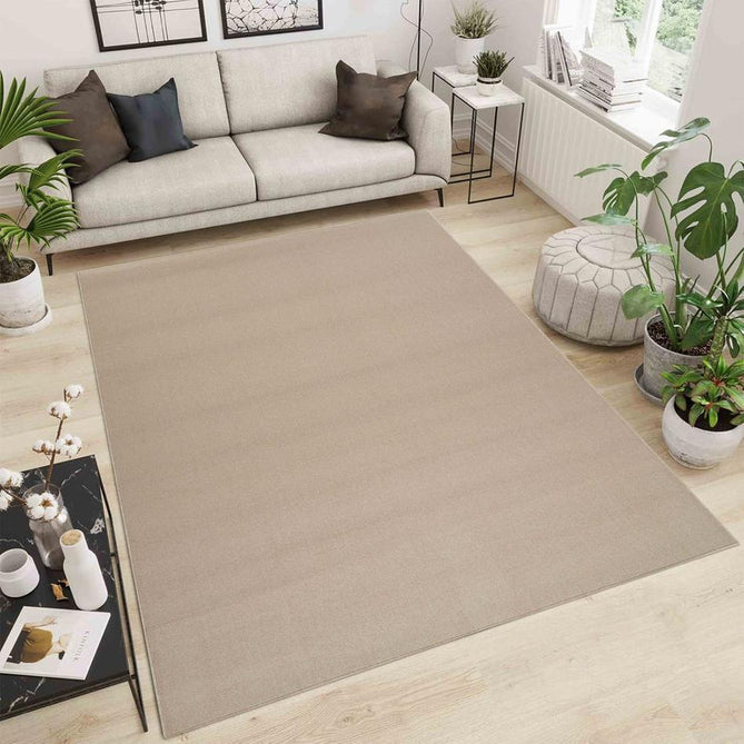 Simple Plain SIM00 Light Beige Flatweave Rug-Desire Rugs-Rug Love - The Most Loved Rug Store