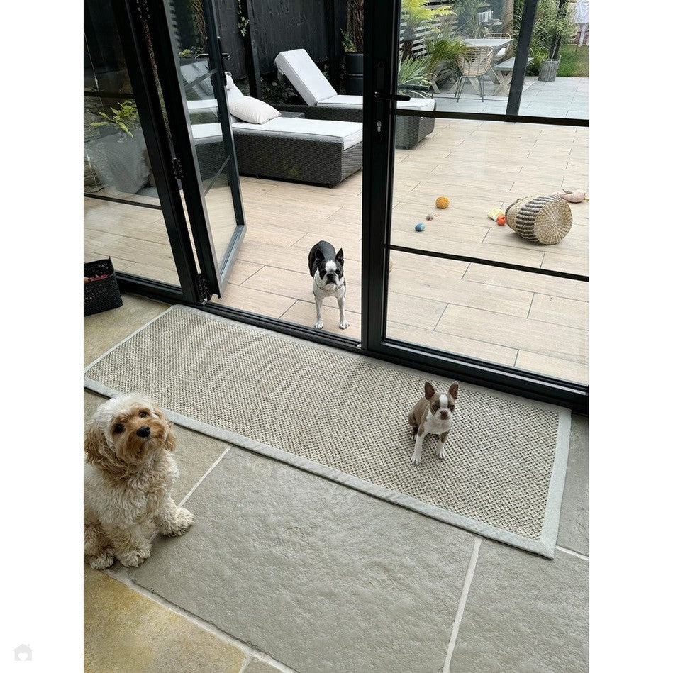 On Sale Sisal Border Plain Hand-Woven Textured Natural Fibre Flatweave ...