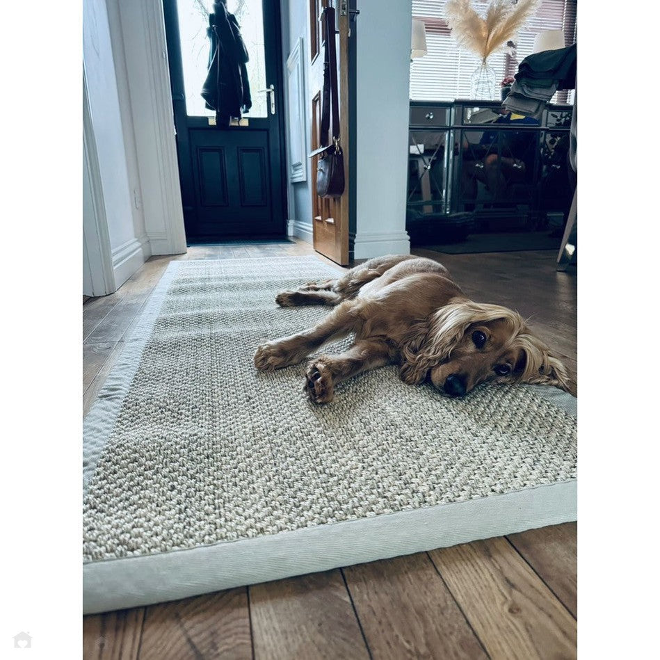 Natural Inset Rug Light On Sale Sisal Border Plain Hand-Woven Textured Natural Fibre Flatweave ...