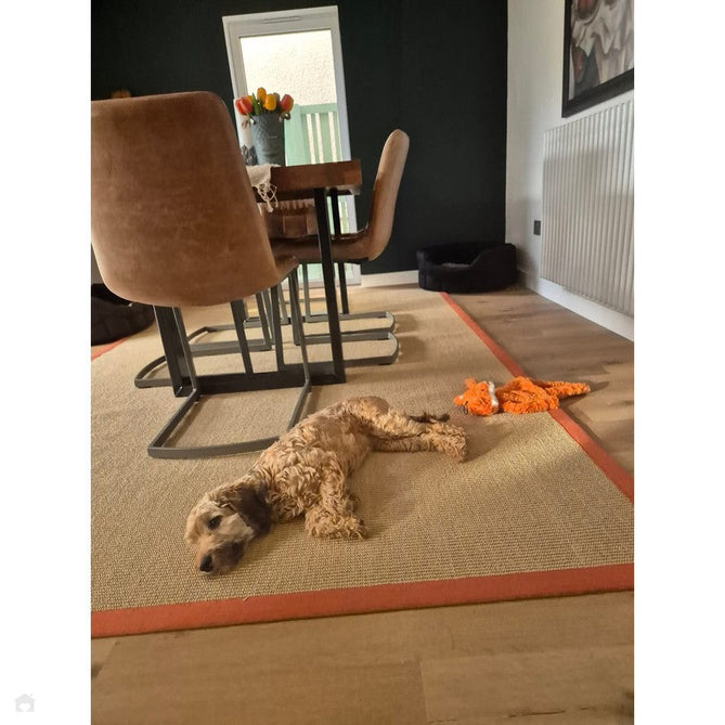 Sisal Modern Plain Cotton Border Natural-Fibre Ribbed Textured Flatweave Natural/Orange Rug-Asiatic Carpets-Rug Love - The Most Loved Rug Store