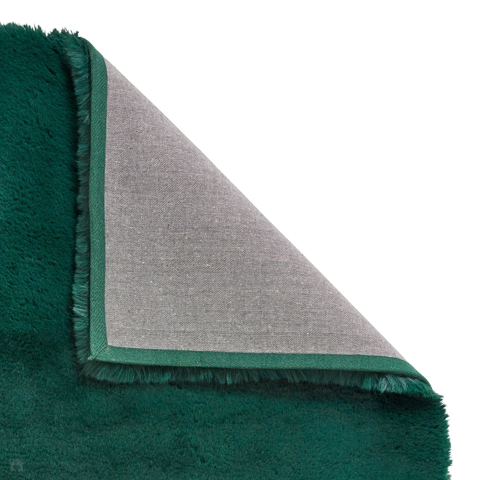  GKLUCKIN Shag Ultra Soft Area Rug, Fluffy 5'x8' Green