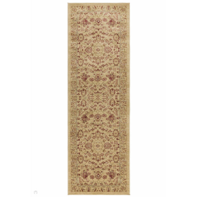 Windsor WIN04 Traditional Classic Floral Vine Bordered Beige/Natural/Multi Rug-Asiatic Carpets-Rug Love - The Most Loved Rug Store