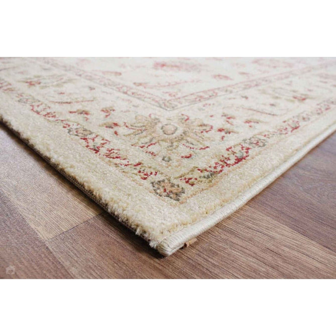 Windsor WIN04 Traditional Classic Floral Vine Bordered Beige/Natural/Multi Rug-Asiatic Carpets-Rug Love - The Most Loved Rug Store