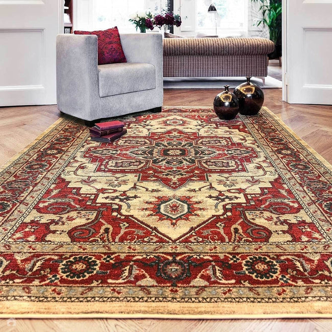 Windsor WIN10 Traditional Classic Floral Vine Medallion Border Red/Multi Rug-Asiatic Carpets-Rug Love - The Most Loved Rug Store