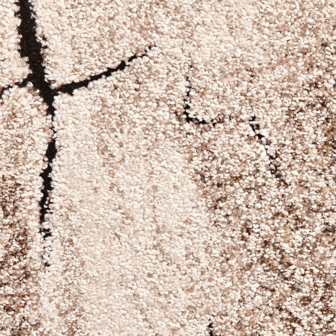 Woodland 6318 Modern Abstract Tree Trunk Soft High-Density Durable Easy-Care Polypropylene Beige/Black Rug-Think Rugs-Rug Love - The Most Loved Rug Store