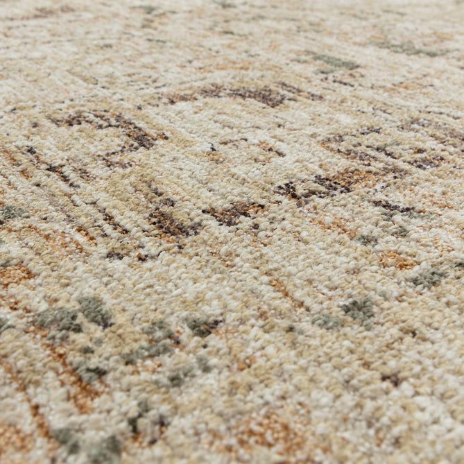 Heriz Serapi Copper Rug-Asiatic Carpets-Rug Love - The Most Loved Rug Store