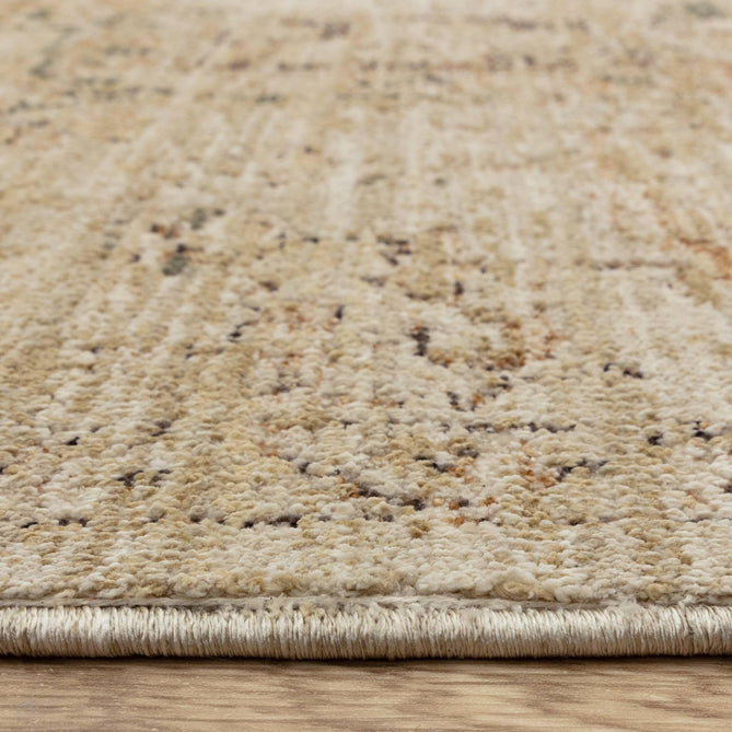 Heriz Serapi Copper Rug-Asiatic Carpets-Rug Love - The Most Loved Rug Store