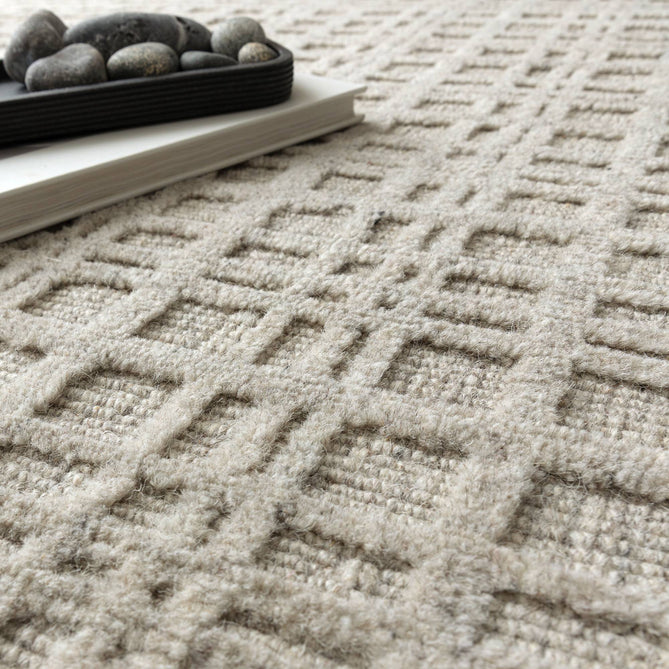Thatch Greige Rug-Asiatic Carpets-Rug Love - The Most Loved Rug Store