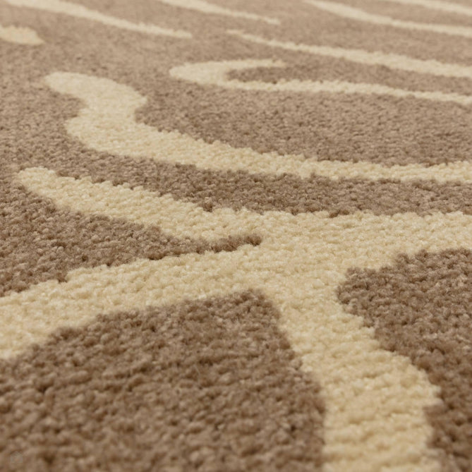Wilder Tiger Taupe Rug-Asiatic Carpets-Rug Love - The Most Loved Rug Store